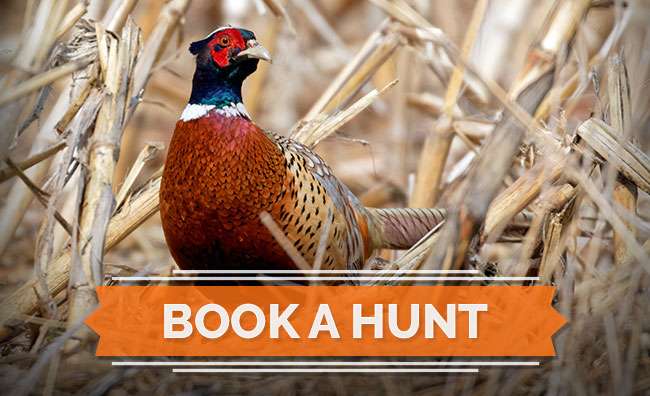 Book A Hunt